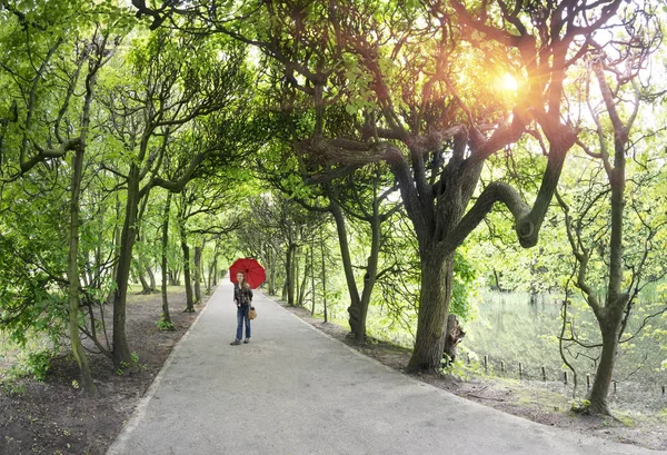 公園オリバの路地 — ストック写真