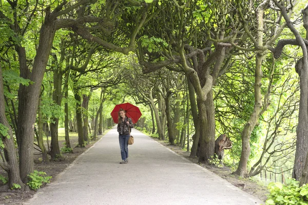 公園オリバの路地 — ストック写真