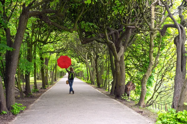 公園オリバの路地 — ストック写真