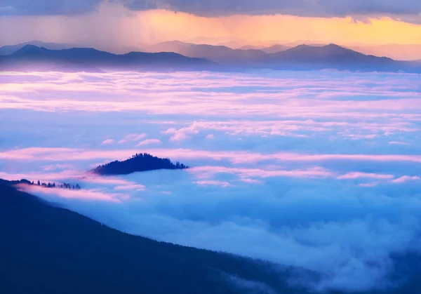 Misty clouds in the mountains at sunrise — Stock Photo, Image