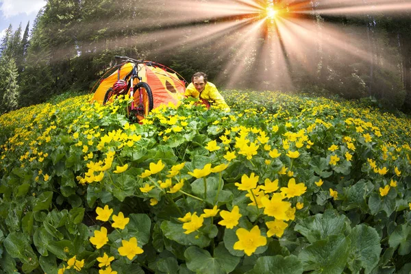 Voyage avec des carpates de fleurs — Photo