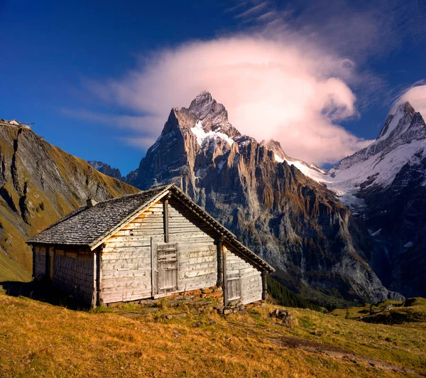 Traditional alpine mountain house in Chamonix for shepherds cows and sheep. All wooden, natural, attracts tourists, cyclists ride mountain bikes