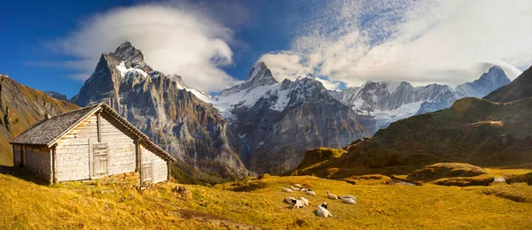 Casa Montanha Tradicional Chamonix Para Pastores Vacas Ovelhas Toda Madeira — Fotografia de Stock