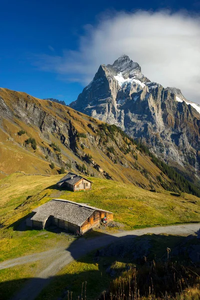 Traditional alpine mountain house in Chamonix for shepherds cows and sheep. All wooden, natural, attracts tourists, cyclists ride mountain bikes