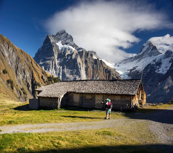 Casa Montanha Alpina Tradicional Chamonix Para Pastores Vacas Ovelhas Toda — Fotografia de Stock