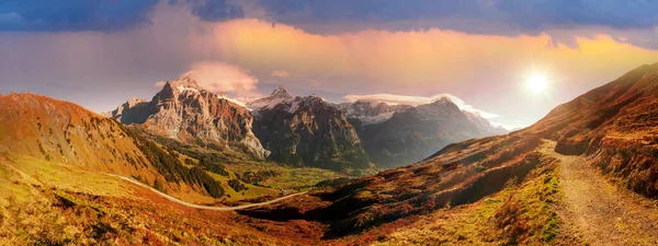 Chamonix Hegyi Lejtői Alpokban Gyönyörűek Fogas Panorámával Hegycsúcsokról Füves Hegyi — Stock Fotó