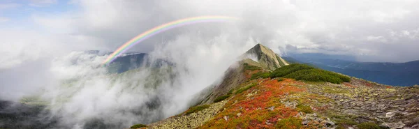 Góry Kamiennych Alp Piękne Zębatą Panoramą Szczytów Górskich Panorama Kamiennych — Zdjęcie stockowe