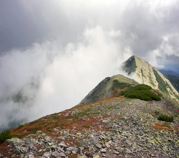 Montagne Delle Alpi Pietra Sono Bellissime Con Panorama Dentato Sulle — Foto Stock