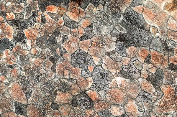 美しいグラフィック 土地の芸術 優雅なラインと色絵の中で地衣類のパターンを持つ天然石 花崗岩 玄武岩 — ストック写真