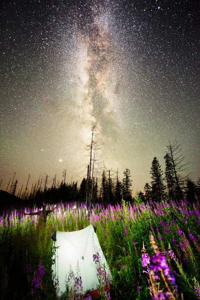 Turistický Bílý Stan Alpenstockových Stožárech Nad Hvězdnou Oblohou Galaxie Krásná — Stock fotografie