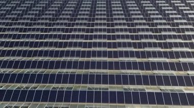 Modern greenhouse designed for growing fresh vegetables, equipped with roof-mounted photovoltaic solar panels providing renewable energy, sustainable agriculture technology, and eco-friendly food pro