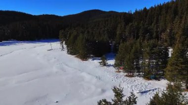 Kışın bir ormanın insansız hava aracı görüntüleri, karla kaplı araziler - güzel Avrupa hava orman dağı, mevsim yolculuğu beyaz donmuş doğa. Yüksek kalite 4k görüntü