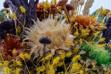 Çeşitli kurumuş ve korunmuş çiçek ve bitkilerden oluşan canlı, dokulu bir buket.