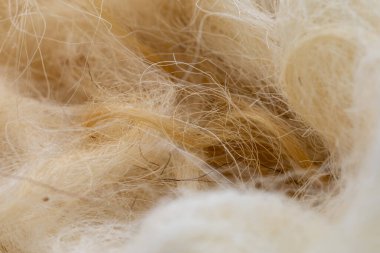 Doğal lifleri, sıcaklığı ve zanaatı temsil eden tüylü hayvan yününün yakın çekimi.