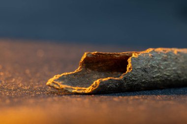 Tarçın çubuğunun yan açılı görüntüsü ve koyu bir yüzeyde sıcak arka ışıklandırma.