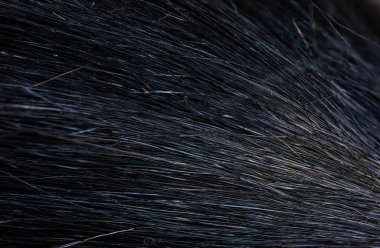 İnce siyah ve gri liflerin detaylı yakın çekimi, doku ve malzeme kavramı