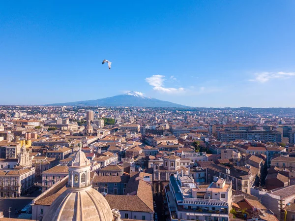 Hermosa Vista Aérea Ciudad Catania Cerca Catedral Principal Volcán Etna — Foto de Stock