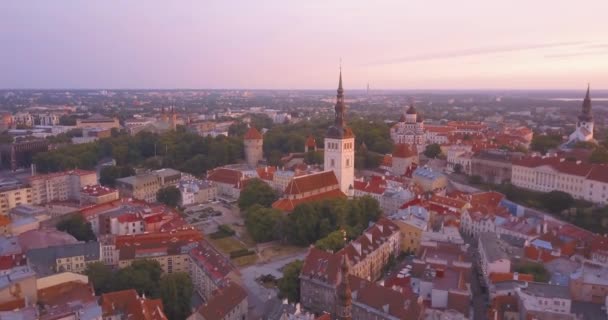 美丽的空中紫色日落景色的塔林老城从上面 惊人的爱沙尼亚 — 图库视频影像