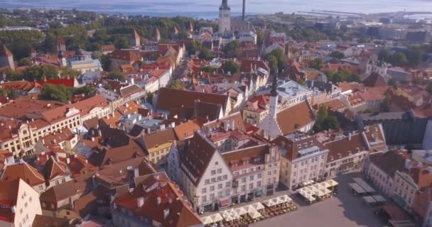 Incrível Vista Aérea Tallinn Sobre Cidade Velha Perto Praça Principal — Vídeo de Stock