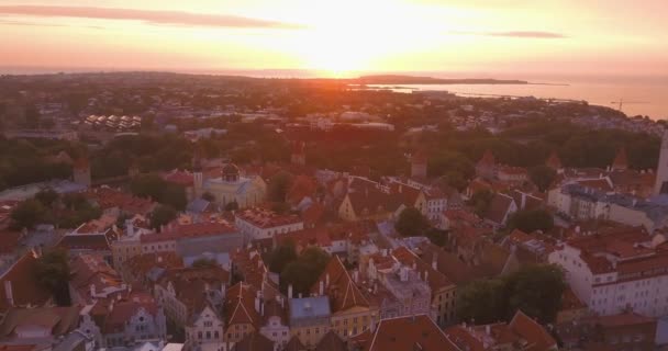 美丽的空中紫色日落景色的塔林老城从上面 惊人的爱沙尼亚 — 图库视频影像