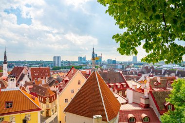 10 Haziran 2018. Tallinn, Estonya. Tallinn eski şehrin dar sokakları, ortaçağ binaları ve küçük Restoranlar, kafeler. 