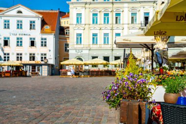 10 Haziran 2018. Tallinn, Estonya. Tallinns eski şehrin ortasında güzel çiçekler.