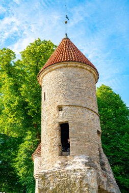 Ana Kilisesi güzel eski şehir, Tallinn Estonya küçük evler ve Raekoja plats