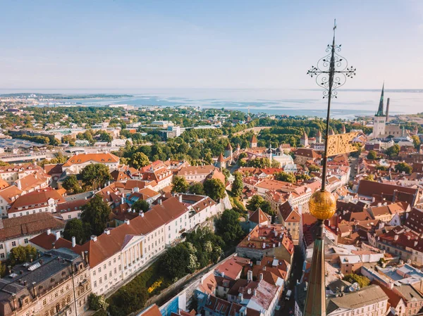 Increíble Horizonte Aéreo Plaza Del Ayuntamiento Tallin Con Plaza Del —  Fotos de Stock