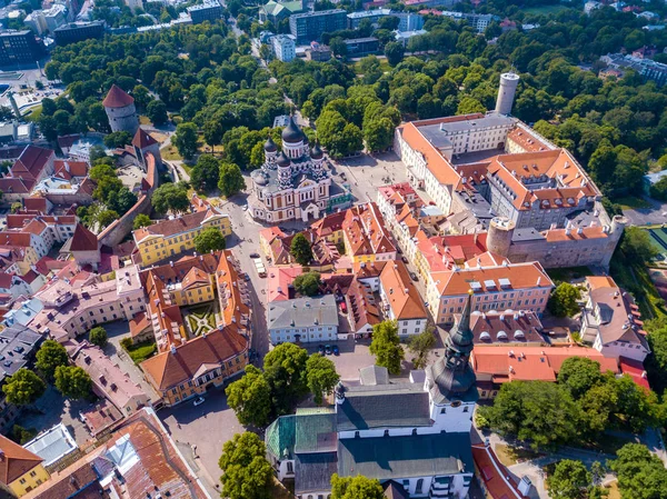 Birçok eski ile Tallinn eski şehrin havadan görünümü şaşırtıcı deniz ve kale ufukta evler.