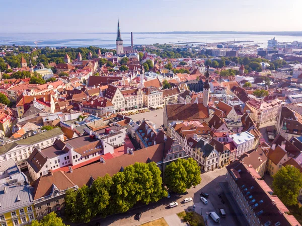 Захватывающая Воздушная Линия Таллиннской Ратушной Площади Старой Рыночной Площадью Эстония — стоковое фото