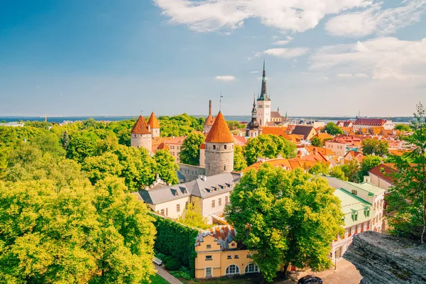 美しいタリンの旧市街のエストニアの小さい住宅の主な教会とラエコヤ — ストック写真
