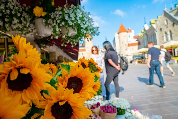 10 Haziran 2018. Tallinn, Estonya. Tallinns eski şehrin ortasında güzel çiçekler.
