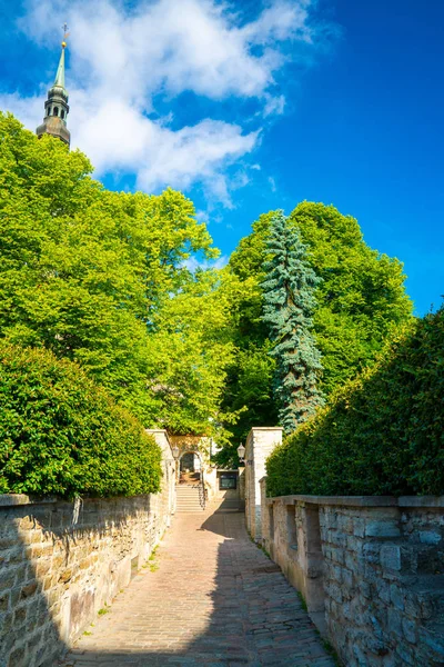 Haziran 2018 Tallinn Estonya Tallinn Eski Şehrin Dar Sokakları Ortaçağ — Stok fotoğraf