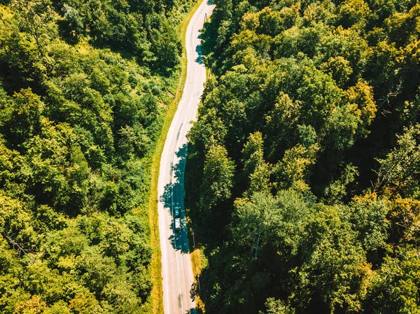 Sonbaharda sık ormanın havadan görünüşü ve yol kesimi