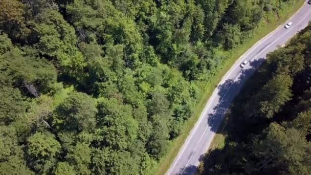 Vista Aérea Sigulda Com Castelo Turaides Enormes Florestas Verdes Ponte — Vídeo de Stock