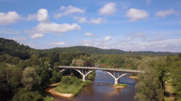 空中西居尔达观图雷德斯城堡 巨大的绿色森林 河上的桥与缆车穿过山谷 美丽的拉脱维亚 — 图库视频影像