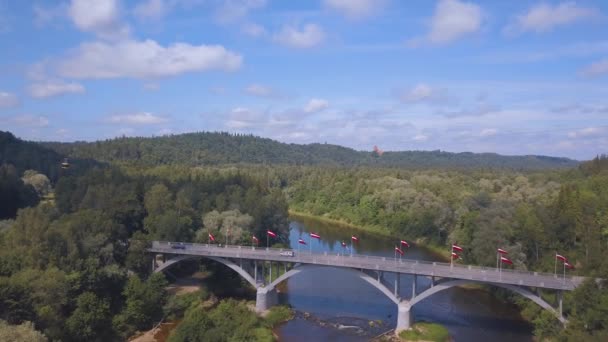 Turaides城 巨大な緑の森と空中シグルダの景色 谷を渡ってケーブルカーでゴーヤ川を渡る橋 美しいラトビア — ストック動画