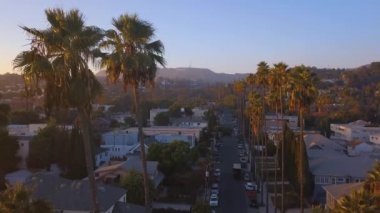 Yolun kenarında uzun avuç içi ile güzel Los Angeles bölge. Los Angeles güneşli durumuna havadan görünümü.