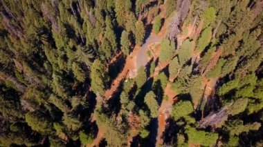 Yukarıdan Sequoia National park orman California havadan görünümü.