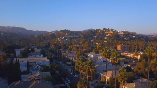 道路の側にあるヤシの長い美しいロサンゼルス地区 ロサンゼルスの日当たりの良い状態の空中写真 — ストック動画