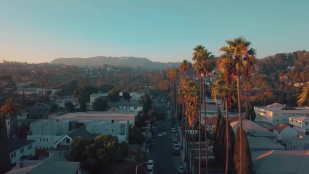 Hermoso Distrito Los Ángeles Con Palmeras Largas Lado Carretera Vista — Vídeo de stock