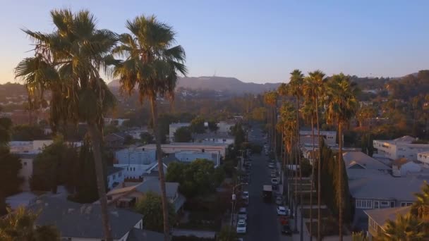 Schönen Los Angeles Bezirk Mit Langen Palmen Straßenrand Luftaufnahme Des — Stockvideo