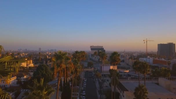 Hermoso Distrito Los Ángeles Con Palmeras Largas Lado Carretera Vista — Vídeos de Stock