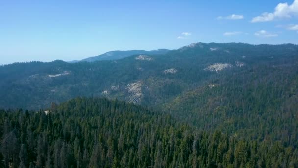 Vista Aérea Del Bosque Del Parque Nacional Sequoia Desde Arriba — Vídeo de stock