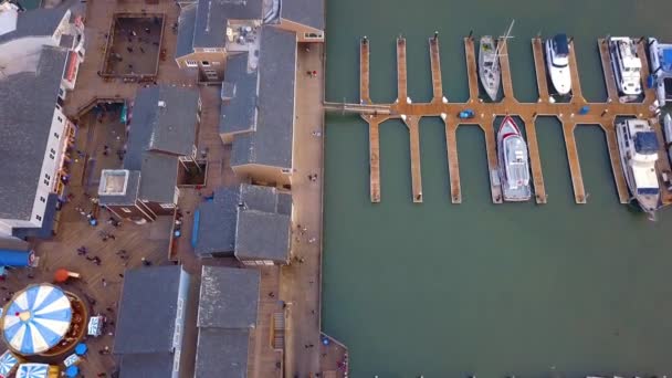 遊園地 桟橋でアシカとサンフランシスコのピア の美しい空撮 — ストック動画