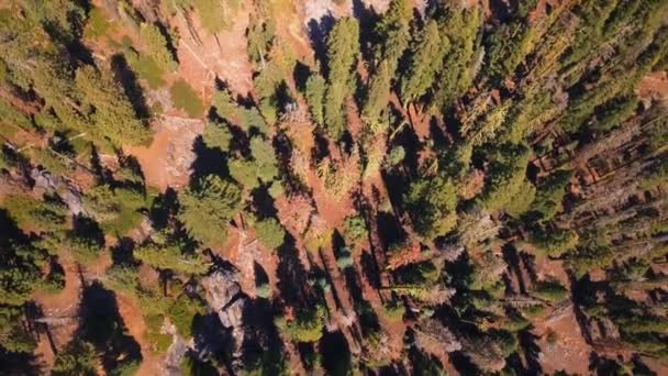 Vista Aérea Del Parque Nacional Yosemite Desde Arriba Con Enormes — Vídeos de Stock