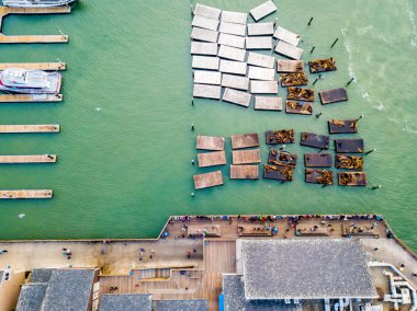 Eğlence Parkı ve deniz aslanları Dock tarafından yalan Pier 39 San Francisco havadan görünümü.