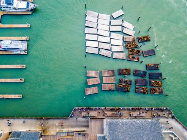 Eğlence Parkı ve deniz aslanları Dock tarafından yalan Pier 39 San Francisco havadan görünümü.