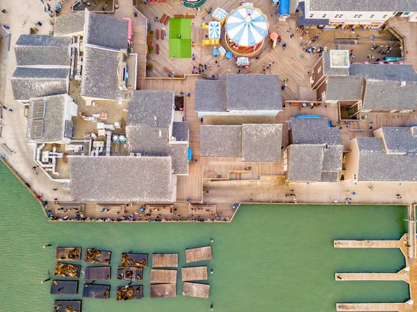 Aerial View Pier San Francisco Amusement Park Sea Lions Lying — Stock Photo, Image