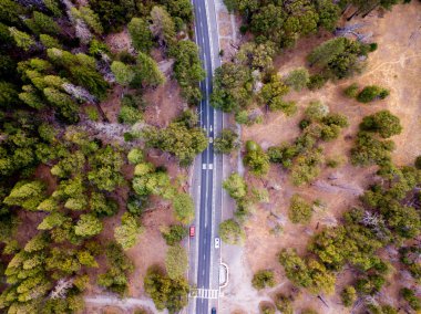 Yosemite Milli Parkı orman hava görünümünü. Ağaçlar yukarıdan. 